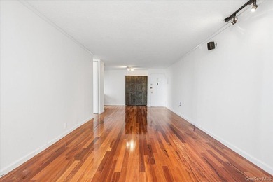 Welcome to Residence 12G at Park Lane North, a bright and - photo 20