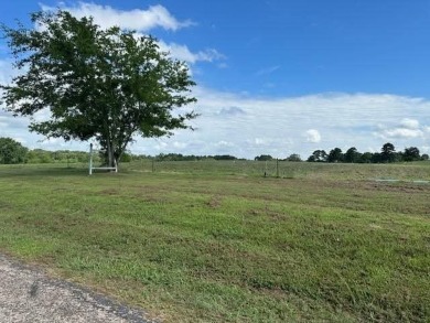 Lake Bob Sandlin Acreage For Sale in Pittsburg Texas