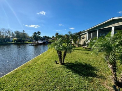 (private lake, pond, creek) Home For Sale in Tampa Florida