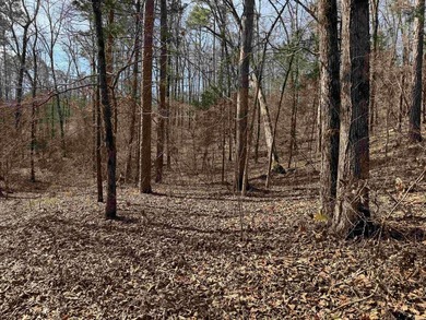54+/- acres located off Peel Road in Shirley, Arkansas. This - photo 12