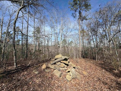 54+/- acres located off Peel Road in Shirley, Arkansas. This - photo 13