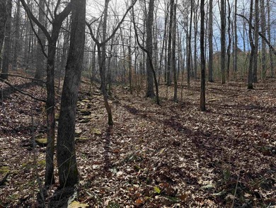54+/- acres located off Peel Road in Shirley, Arkansas. This - photo 15