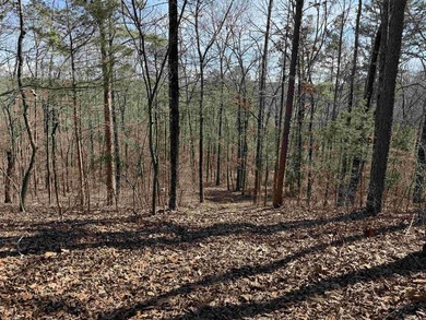 54+/- acres located off Peel Road in Shirley, Arkansas. This - photo 16