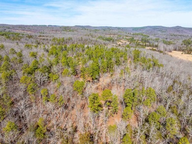 54+/- acres located off Peel Road in Shirley, Arkansas. This - photo 17