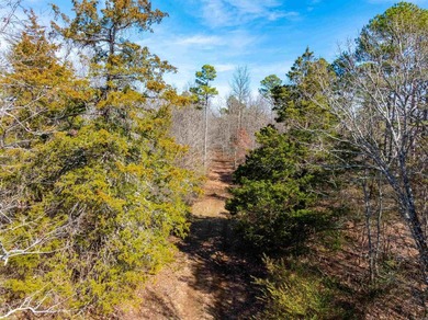 54+/- acres located off Peel Road in Shirley, Arkansas. This - photo 19