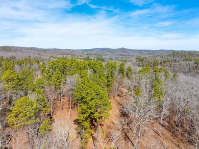 54+/- acres located off Peel Road in Shirley, Arkansas. This - photo 20