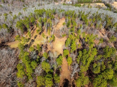 54+/- acres located off Peel Road in Shirley, Arkansas. This - photo 22