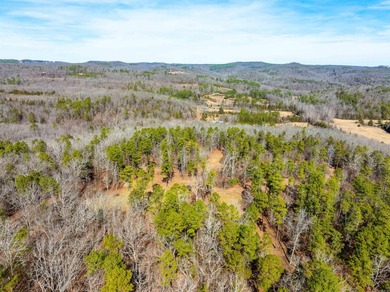 54+/- acres located off Peel Road in Shirley, Arkansas. This - photo 23