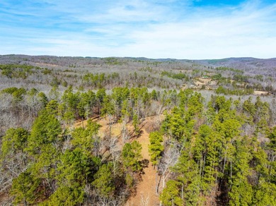 54+/- acres located off Peel Road in Shirley, Arkansas. This - photo 24