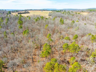 54+/- acres located off Peel Road in Shirley, Arkansas. This - photo 26