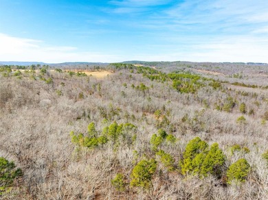 54+/- acres located off Peel Road in Shirley, Arkansas. This - photo 27