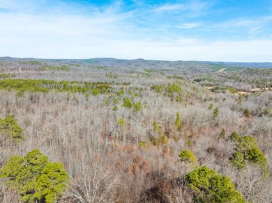 54+/- acres located off Peel Road in Shirley, Arkansas. This - photo 28