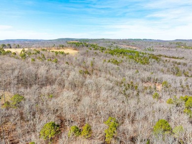 54+/- acres located off Peel Road in Shirley, Arkansas. This - photo 30