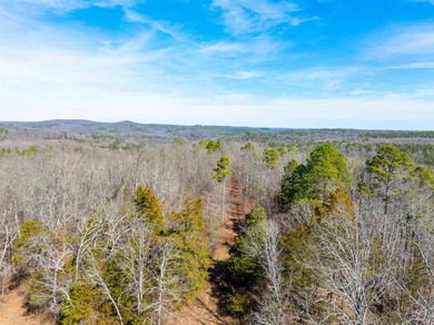 54+/- acres located off Peel Road in Shirley, Arkansas. This - photo 31