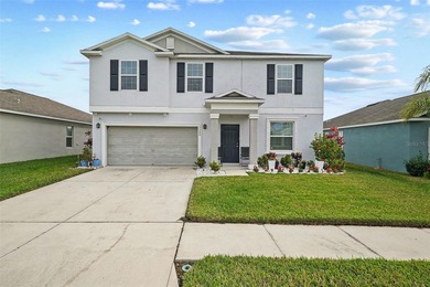 (private lake, pond, coastal) Home For Sale in Wimauma Florida