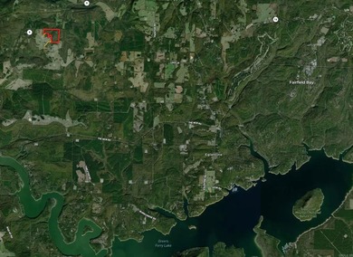 54+/- acres located off Peel Road in Shirley, Arkansas. This - photo 32