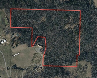 54+/- acres located off Peel Road in Shirley, Arkansas. This - photo 33