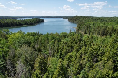 Lake Acreage For Sale in Perry, Maine