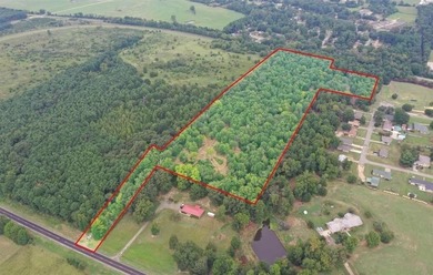 (private lake, pond, creek) Acreage For Sale in Pittsburg Texas