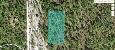 Lake Weohyakapka Lot For Sale in Lake Wales Florida