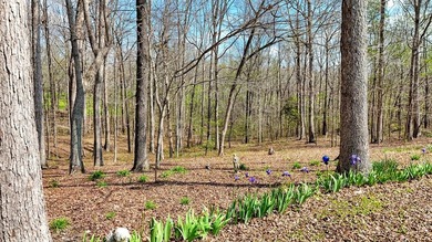 Welcome to your West Tennessee dream home! This beautifully - photo 33