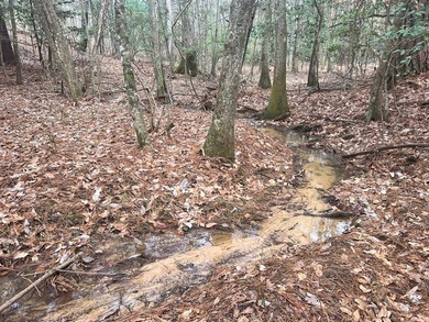This +/-19-acre property in Jasper County, MS, offers a - photo 11