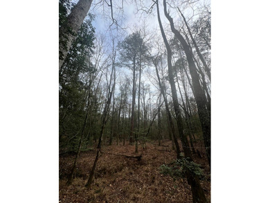 This +/-19-acre property in Jasper County, MS, offers a - photo 12