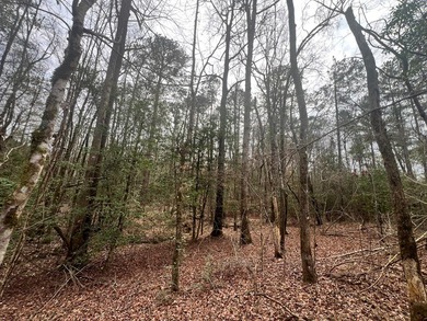 This +/-19-acre property in Jasper County, MS, offers a - photo 13
