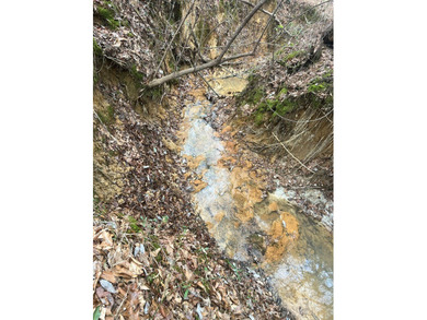 This +/-19-acre property in Jasper County, MS, offers a - photo 16