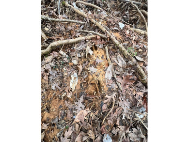This +/-19-acre property in Jasper County, MS, offers a - photo 19