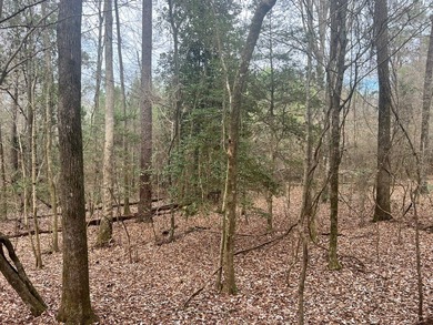 This +/-19-acre property in Jasper County, MS, offers a - photo 21
