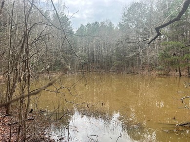This +/-19-acre property in Jasper County, MS, offers a - photo 24