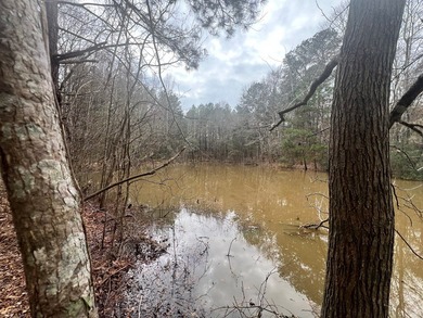 This +/-19-acre property in Jasper County, MS, offers a - photo 25