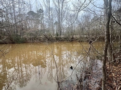 This +/-19-acre property in Jasper County, MS, offers a - photo 26