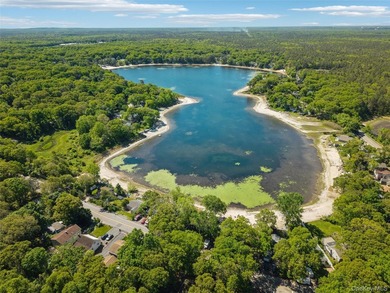 Nestled in the sought-after Lake Panamoka community, this - photo 38