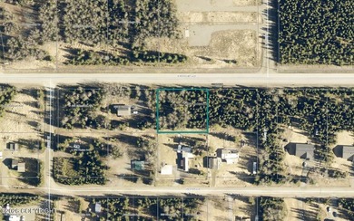 Nicely treed 0.46 acre lot with year-round road maintenance - photo 3