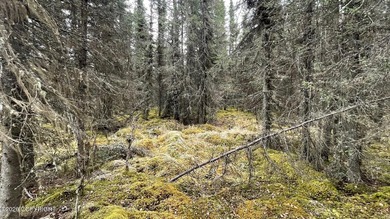 Nicely treed 0.46 acre lot with year-round road maintenance - photo 7