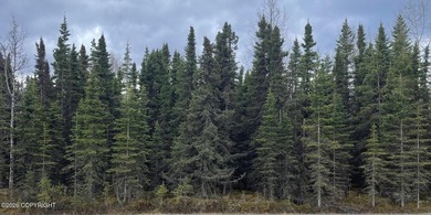 Nicely treed 0.46 acre lot with year-round road maintenance - photo 8