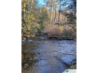Lake Acreage For Sale in Kunkletown, Pennsylvania