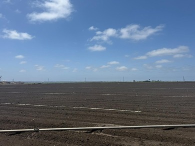 Martella Home Farm is a 20% Partnership Investment Opportunity - photo 11