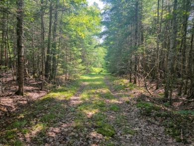 Long Lake - Washington County Acreage For Sale in Princeton Maine