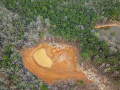 PERFECT location for your dream house. Secluded partially wooded - photo 11