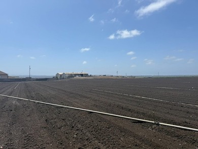 Martella Home Farm is a 20% Partnership Investment Opportunity - photo 12