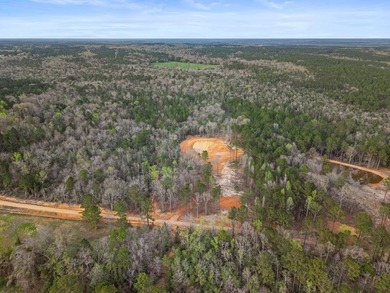 PERFECT location for your dream house. Secluded partially wooded - photo 13