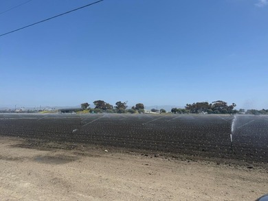 Martella Home Farm is a 20% Partnership Investment Opportunity - photo 14