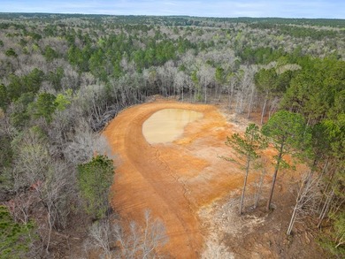PERFECT location for your dream house. Secluded partially wooded - photo 14