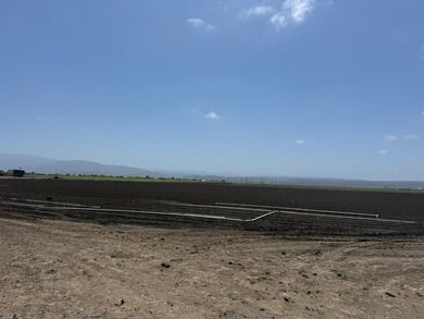 Martella Home Farm is a 20% Partnership Investment Opportunity - photo 15