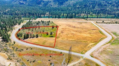 Clark Fork River Acreage For Sale in Plains Montana