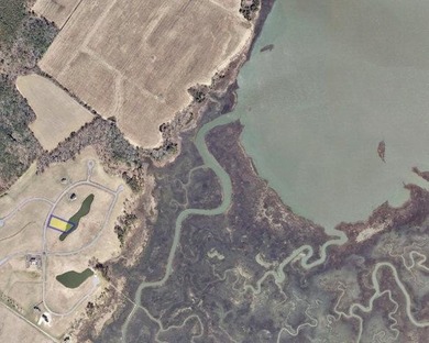 (private lake, pond, coastal) Lot For Sale in Parksley Virginia