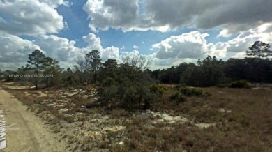 Lake Grassy Lot For Sale in Lake Placid Florida